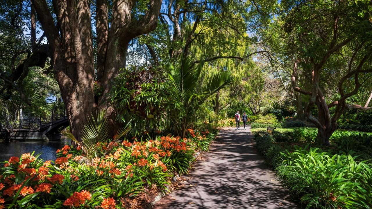 Queens Garden Nelson