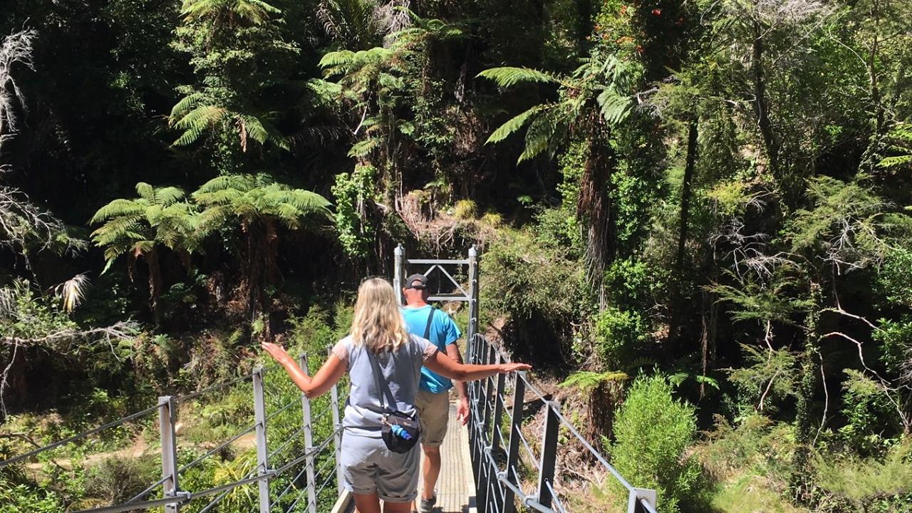 Wainui Falls Swing Bridge