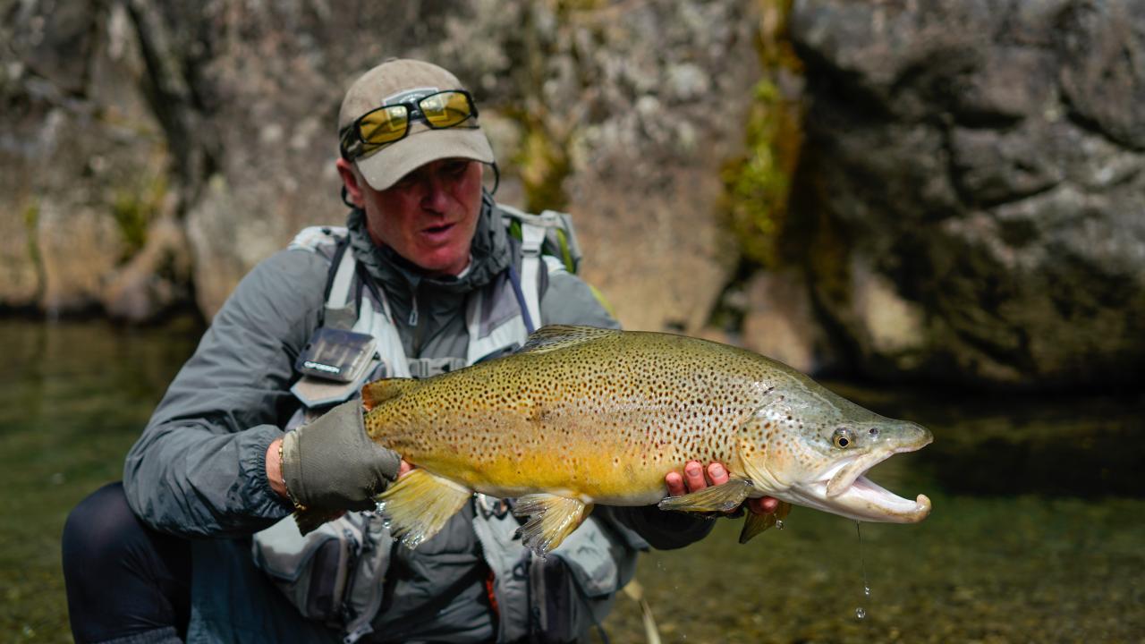 Guide in action