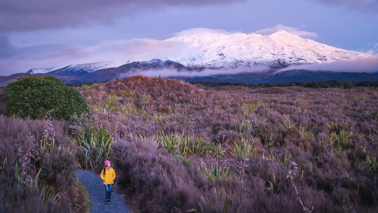 2 Hour Pre Sunset guided walk 