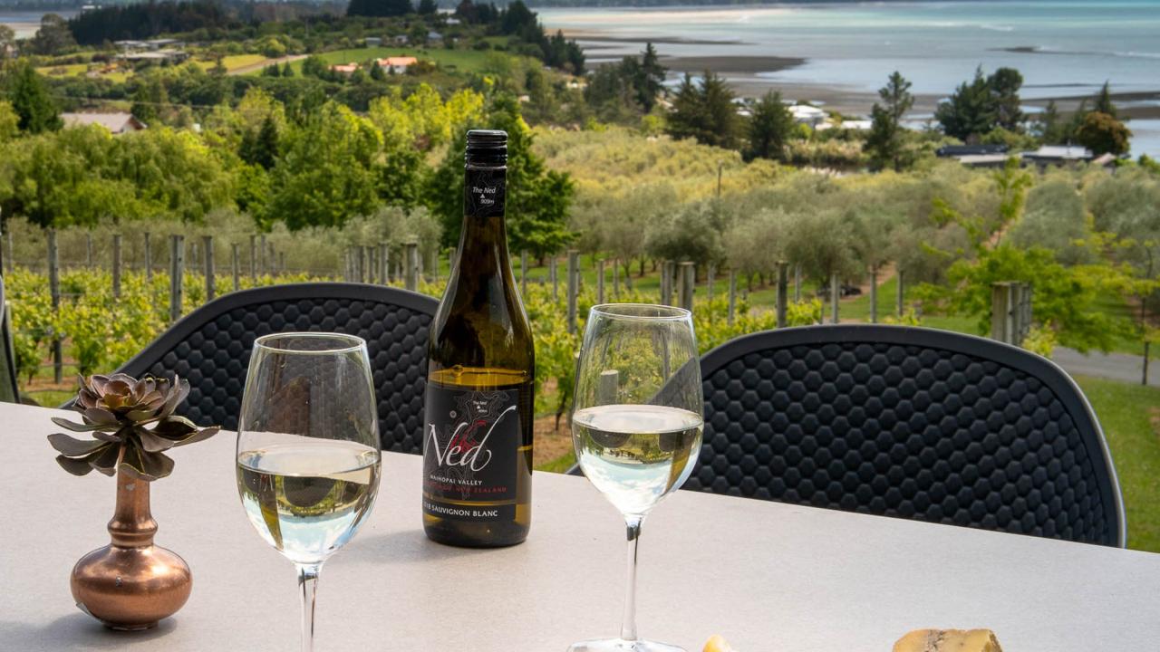 Enjoy local cheeses and wines with a spectacular view over the Bay or rent our e-bikes and visit the nearby vineyards.
