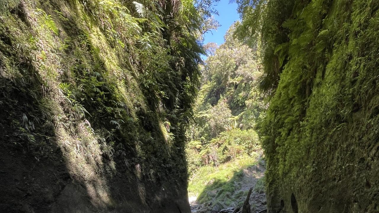 Culturally guided journey