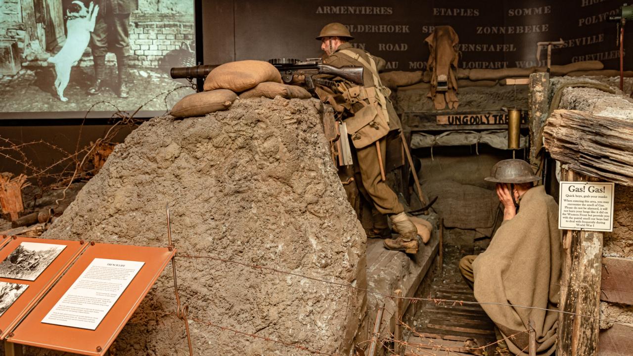 Remember the personal tragedy of war and reflect on how conflict has shaped our nation.