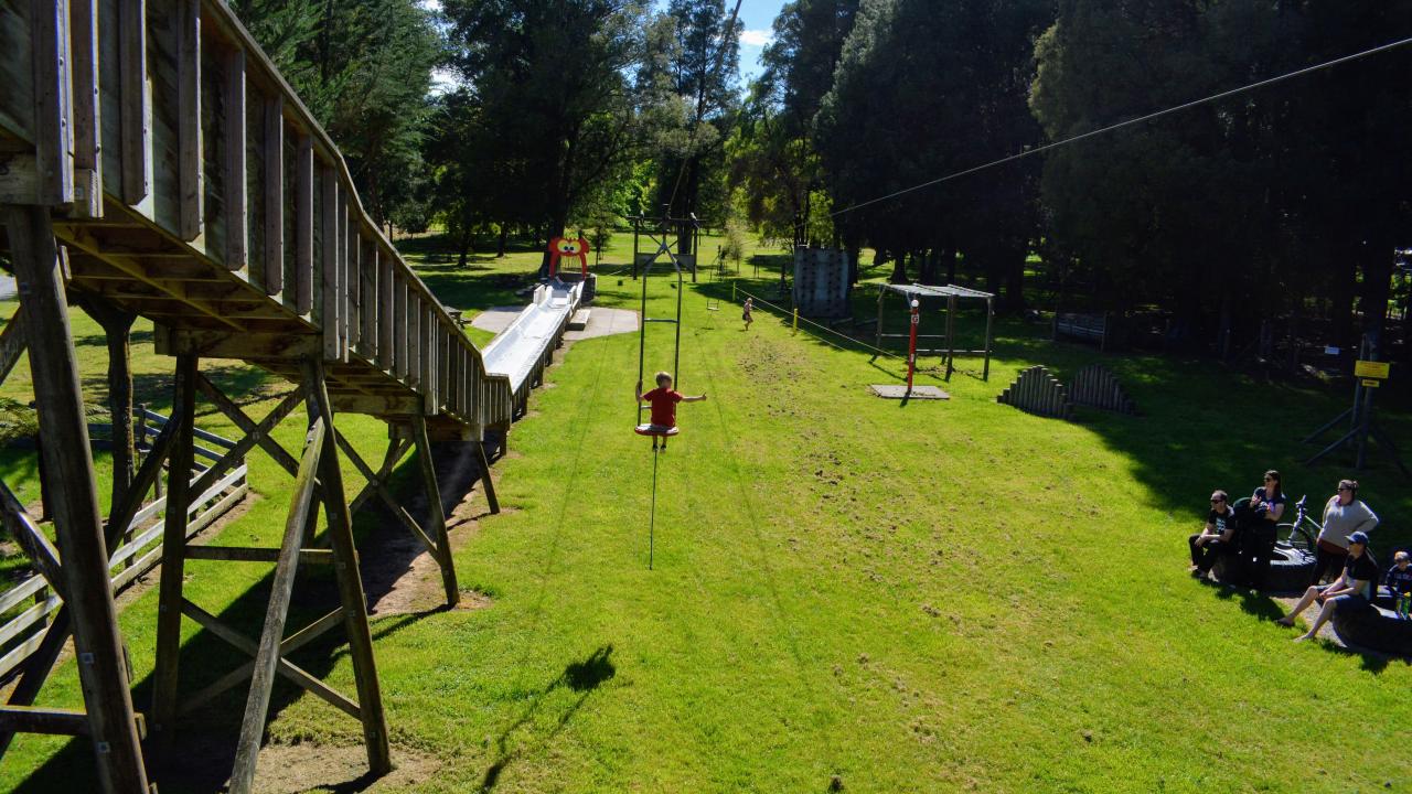 Big Flying Fox