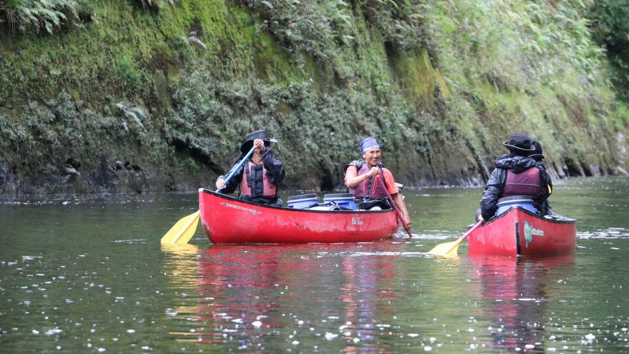 Whanau Paddle on the Whanganui River with Whanganui River Canoes