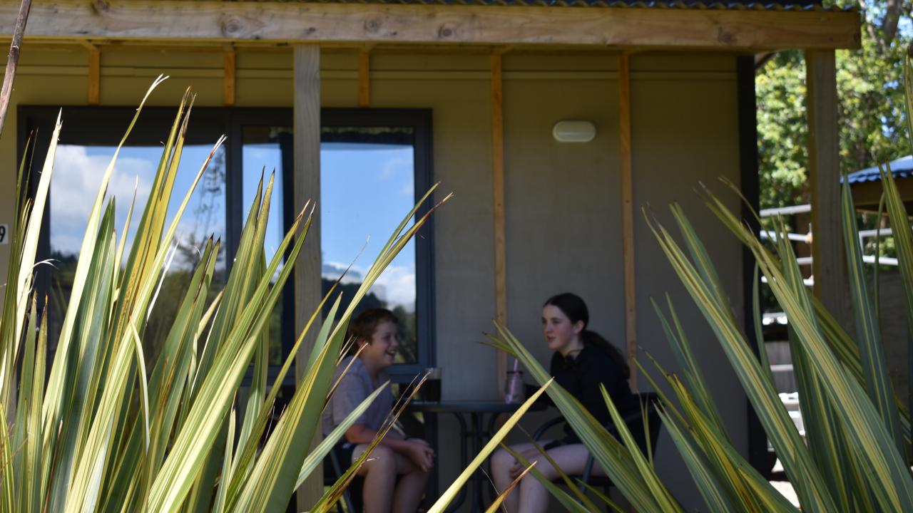 Cabins in a bush setting