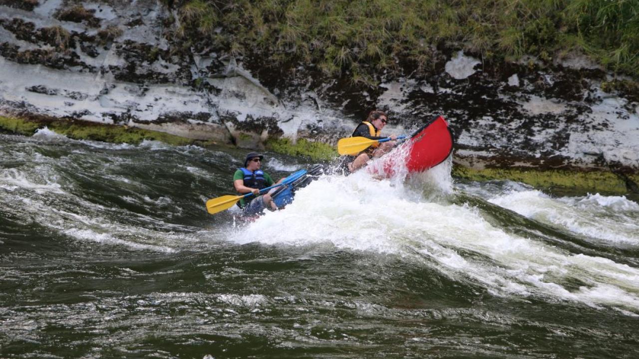 Rapid - will they make it?