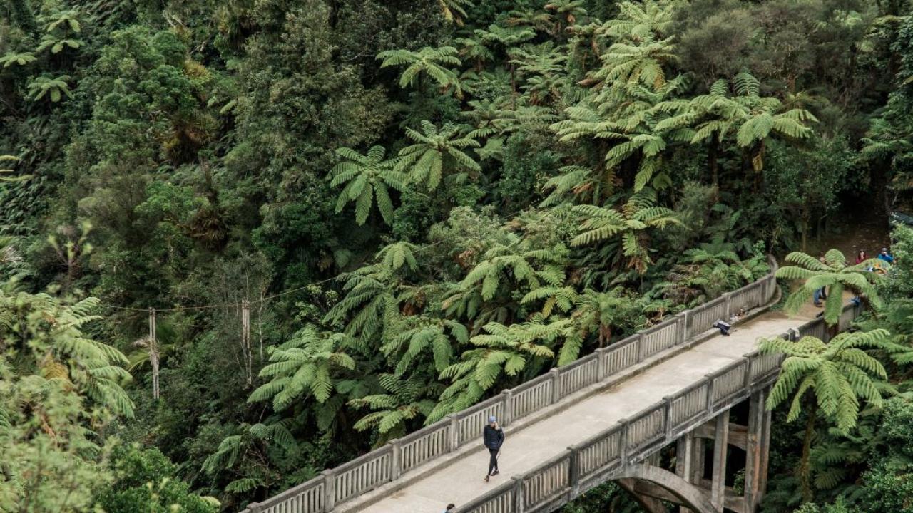 Bridge to Nowhere