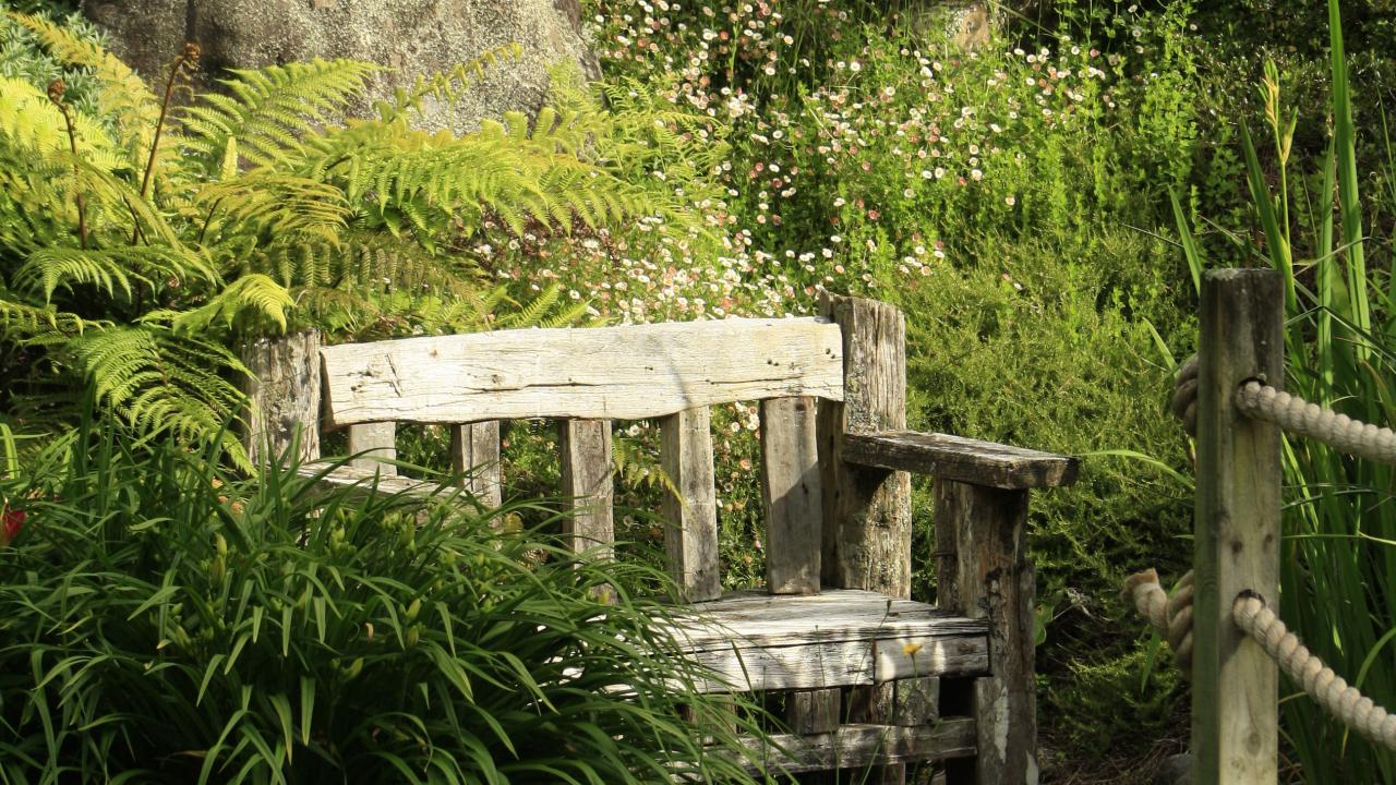 Lilly Pond with bridge
