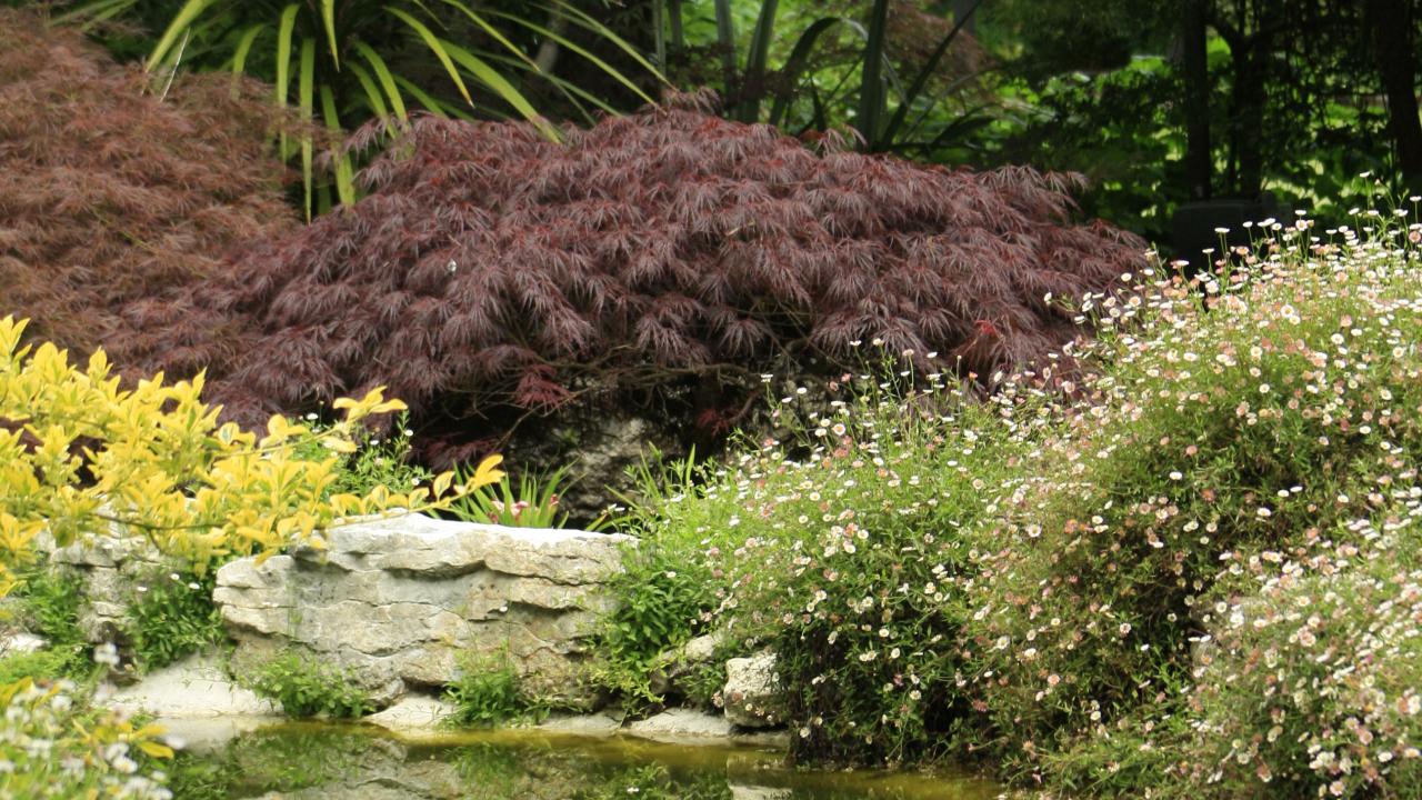 Fountain Pond