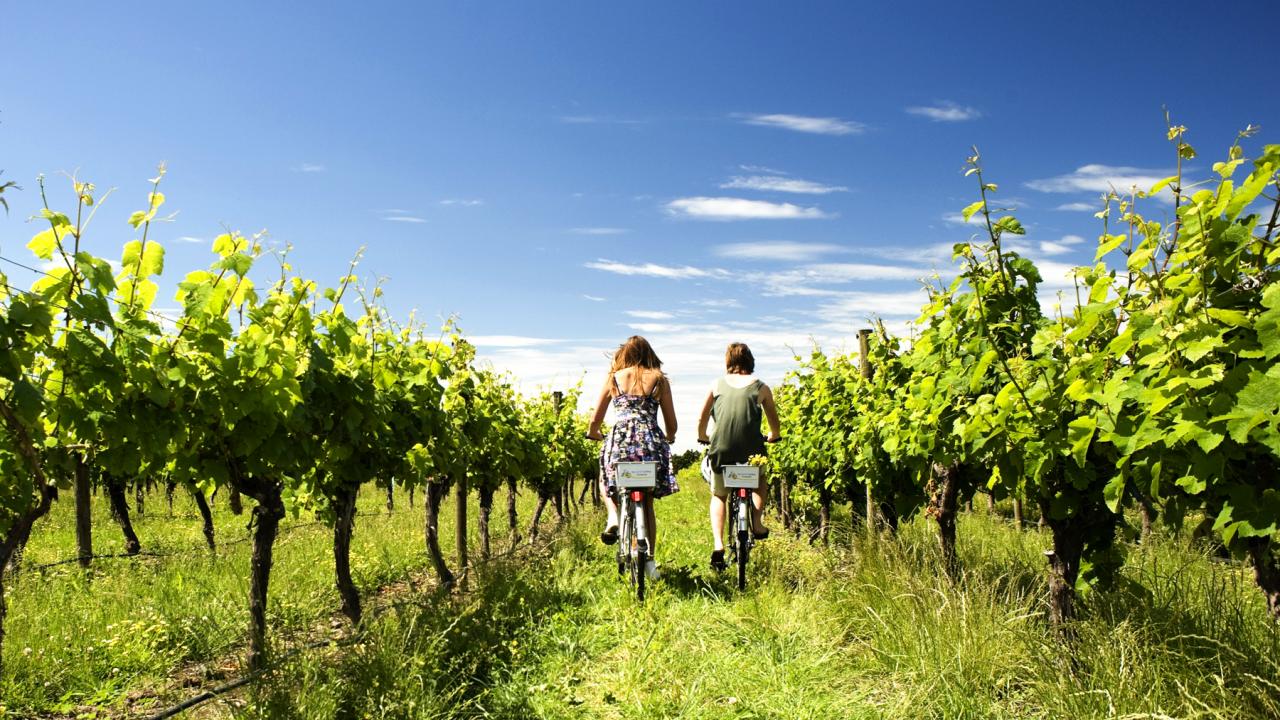 Seifried Winery