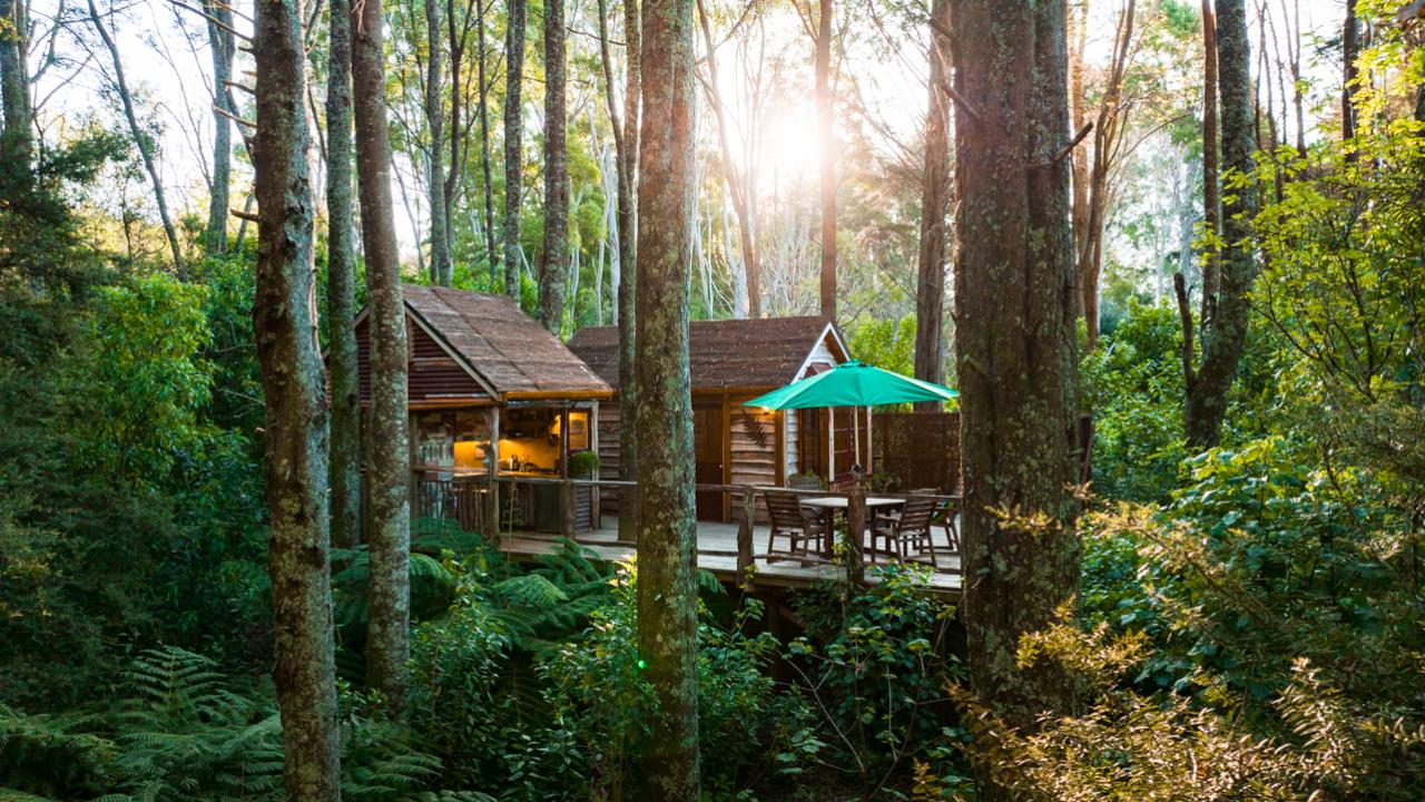 Rustic ReTreet