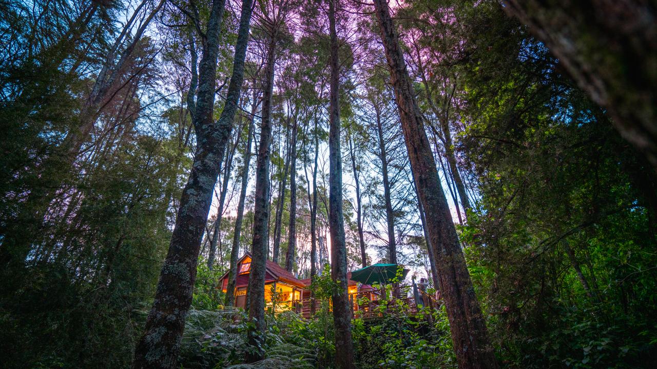 Rustic ReTreet