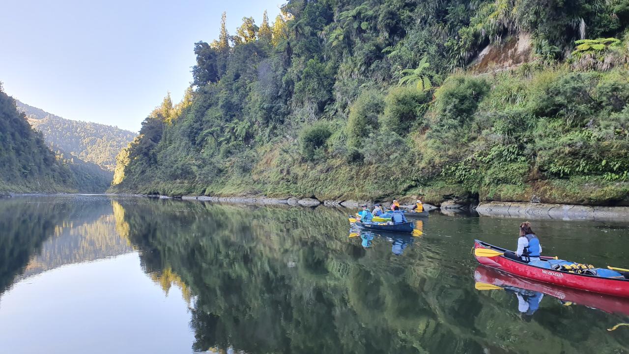Whanganui River reflections