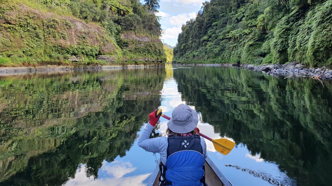 Whanganui River early morning reflections