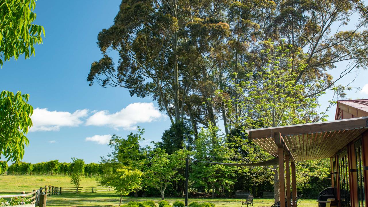 Enjoy the Nelson sunshine and relax on the large deck. Beyond the vineyards and truffiere there is an expansive view of the mountains. 