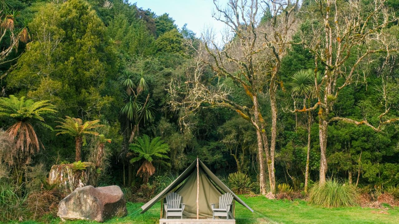 Camp Epic glamp tent in Pureora Forest Park