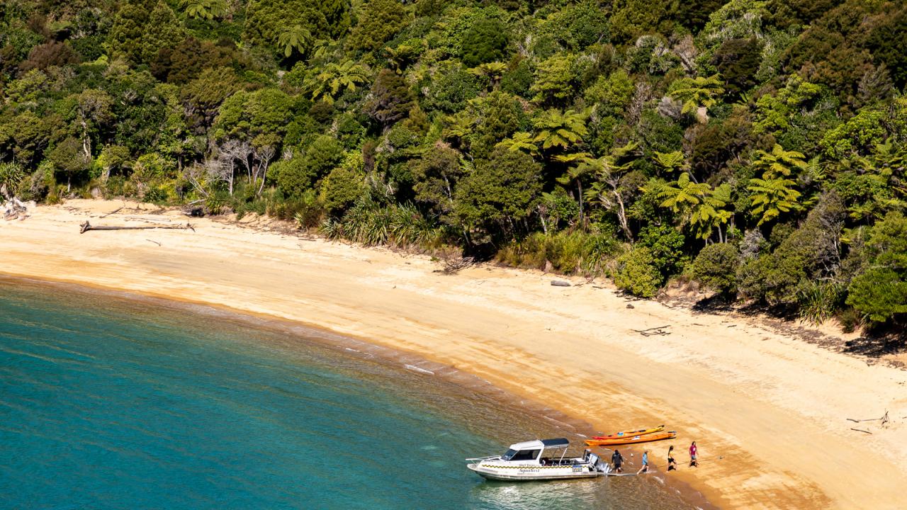 Te Pukatea 1