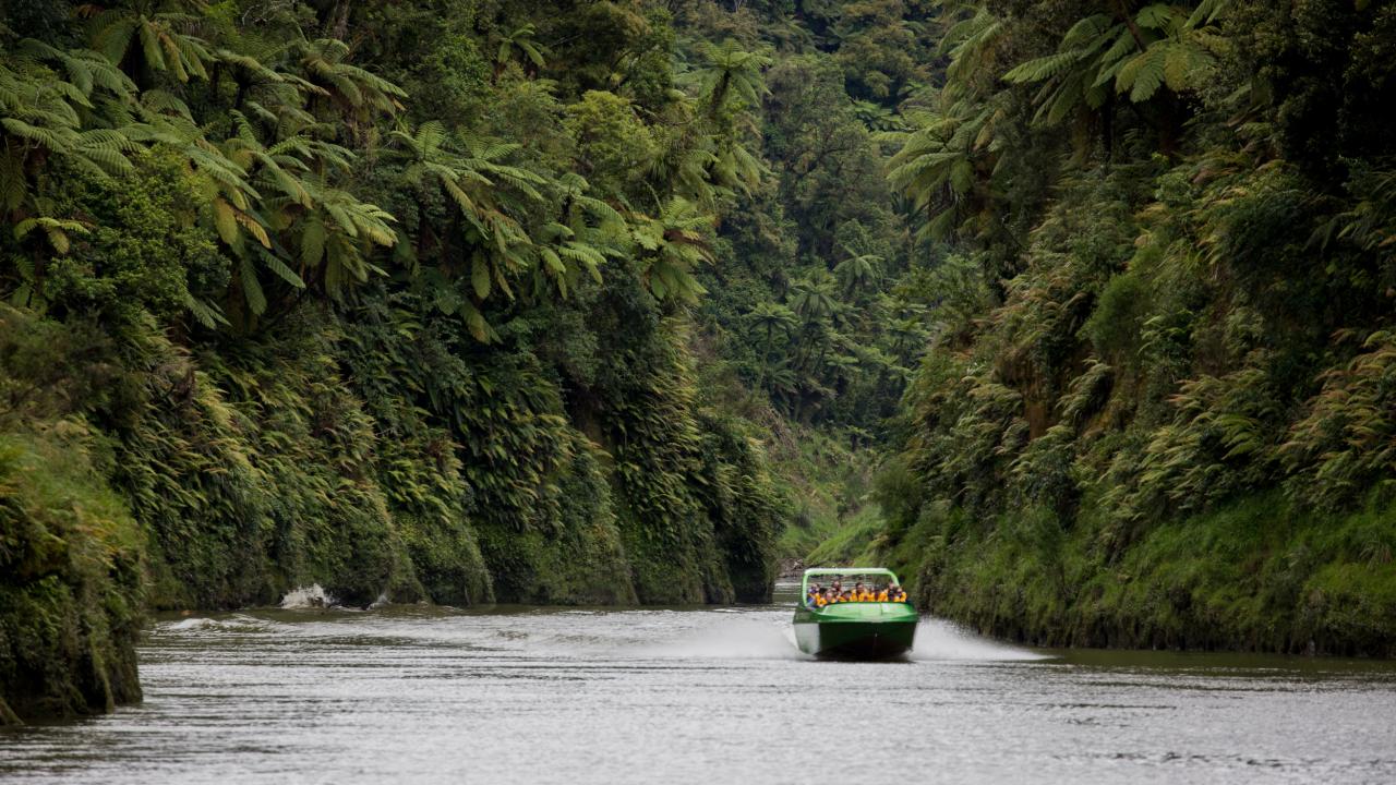 Venturing through a deep gorge on the Whanganui River