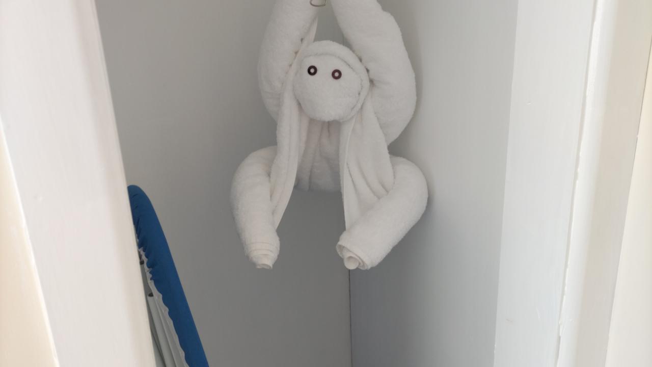 You never know what you will find