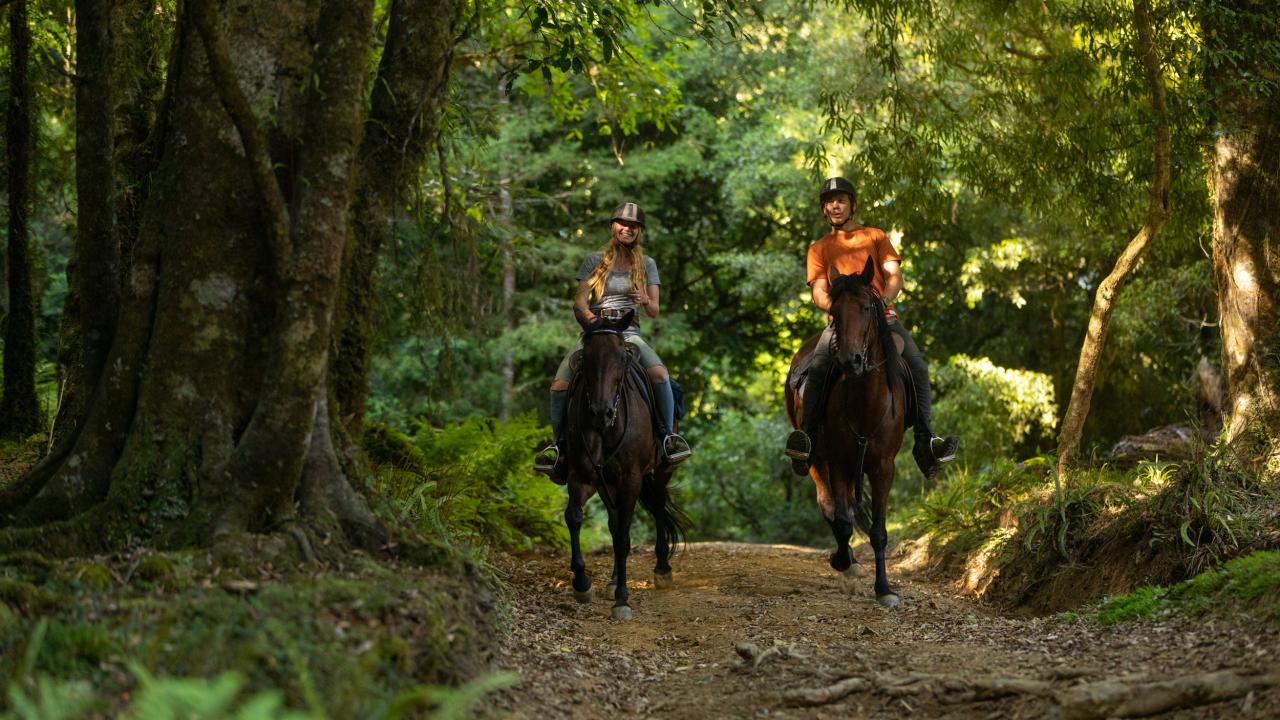 Riding through native forest at Blue Duck Station