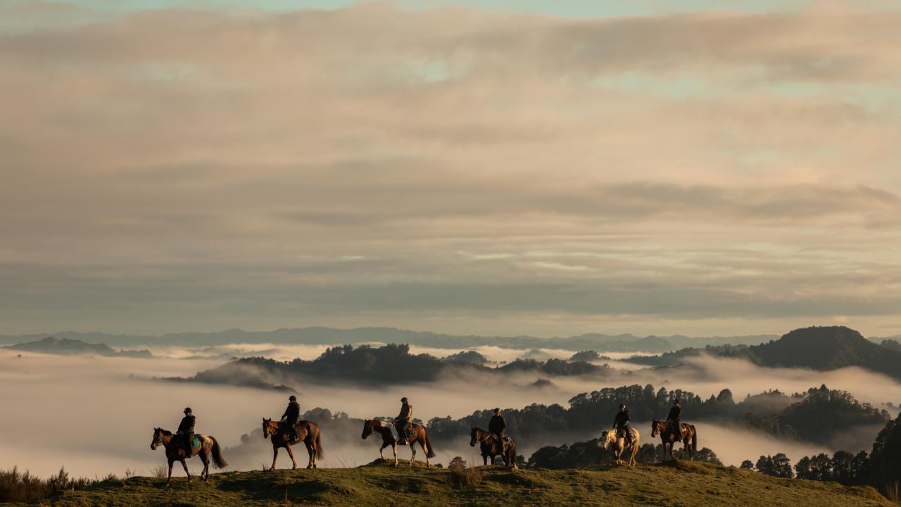 Horse trekking at Blue Duck Station