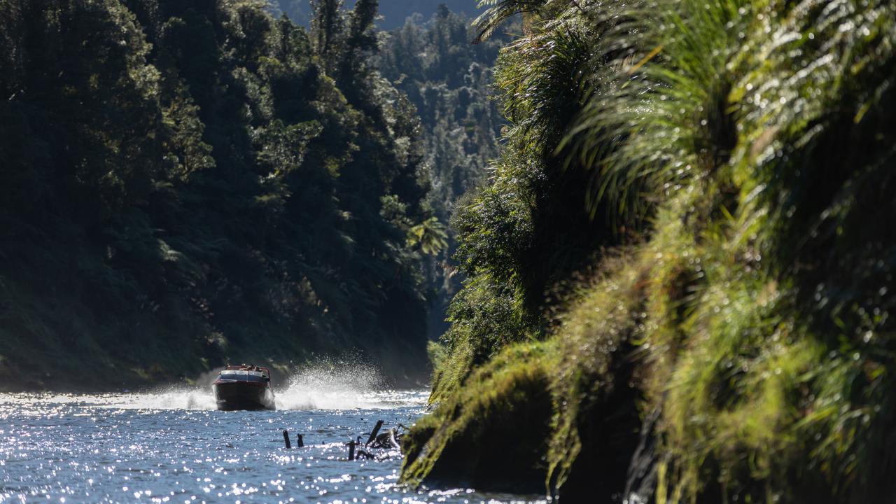 Jet boating the Whanganui River