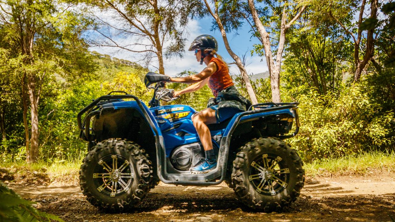 A rider enjoying the native forest tracks