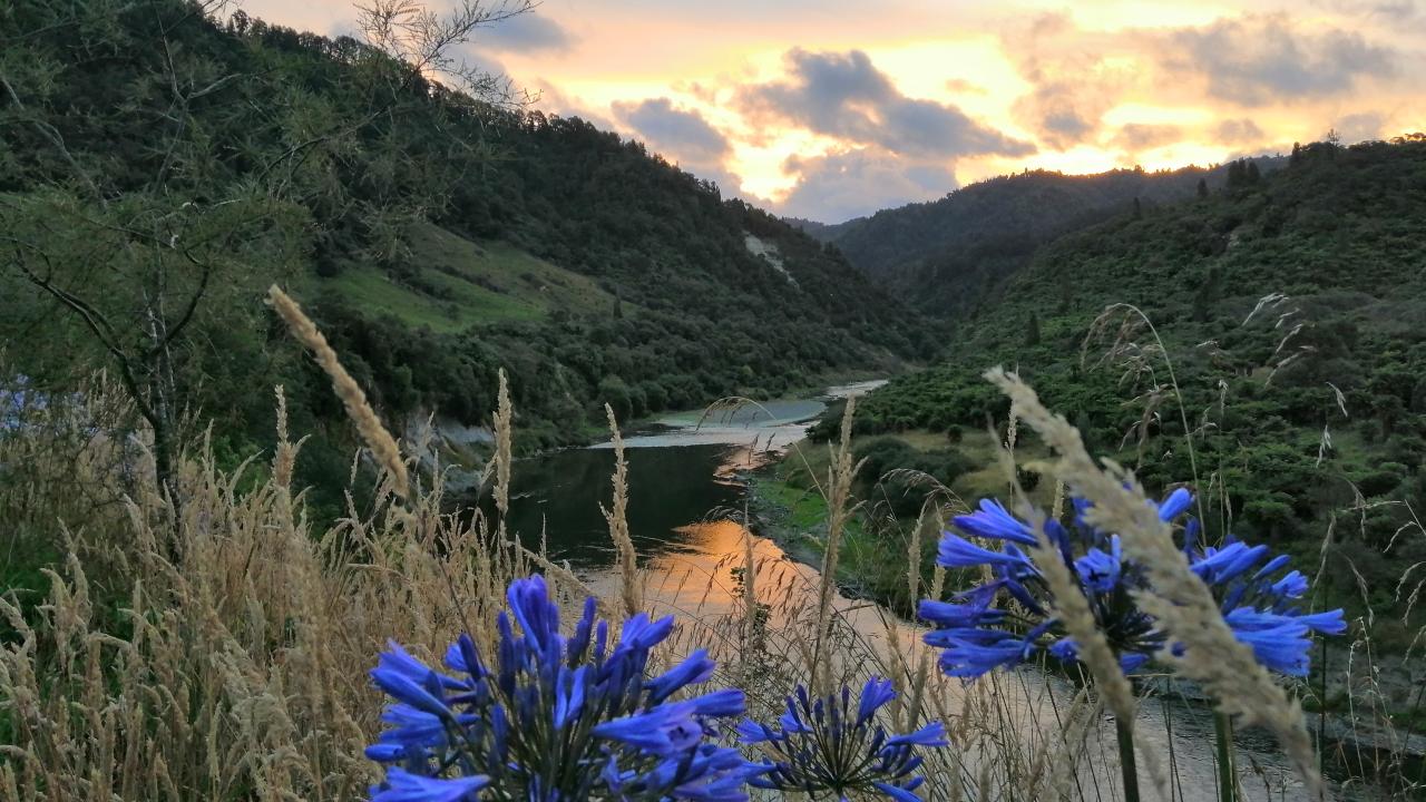 View of the Whanganui River from Blue Duck Station