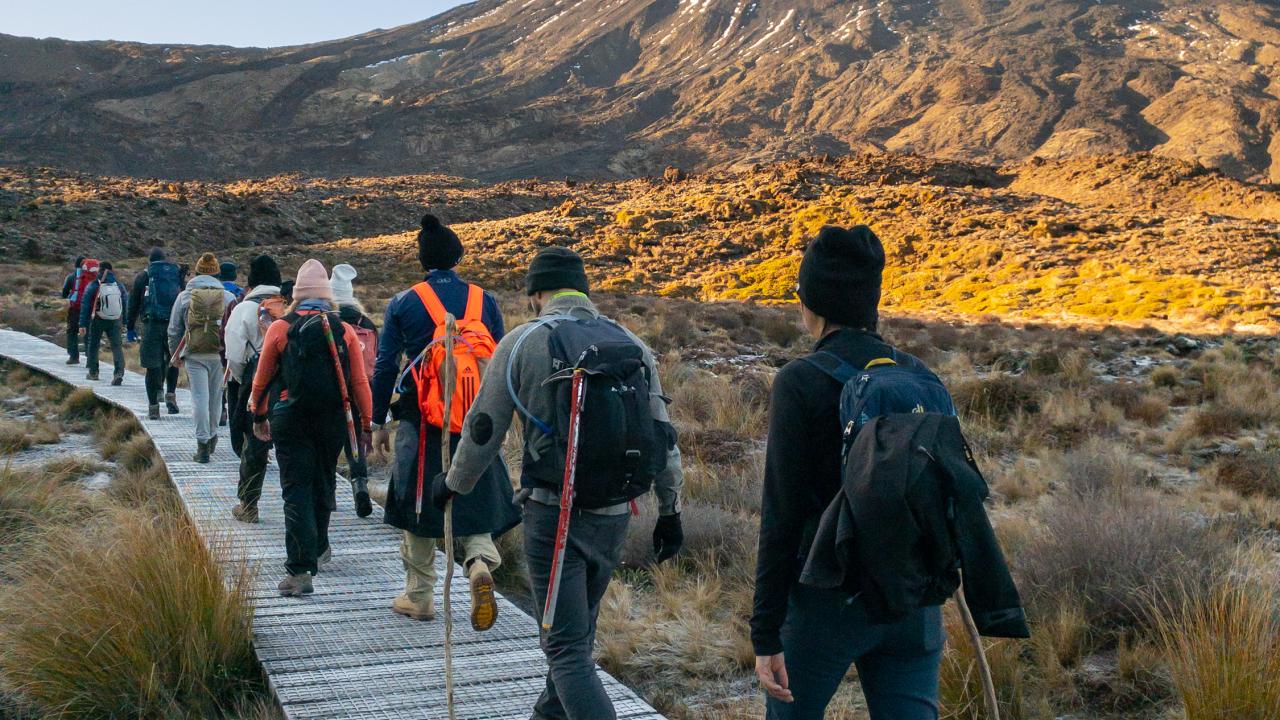 Tongariro Alpine Half Day Guided Walk.