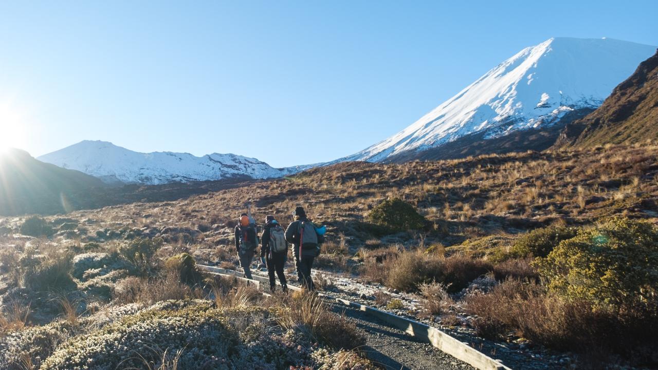 Tongariro Alpine Half Day Guided Walk.