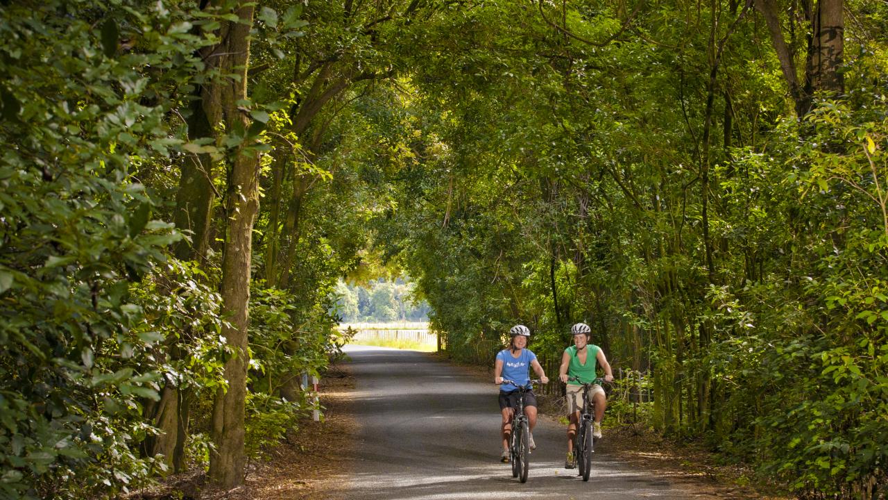 Explore the local countryside along The Great Taste Trail
