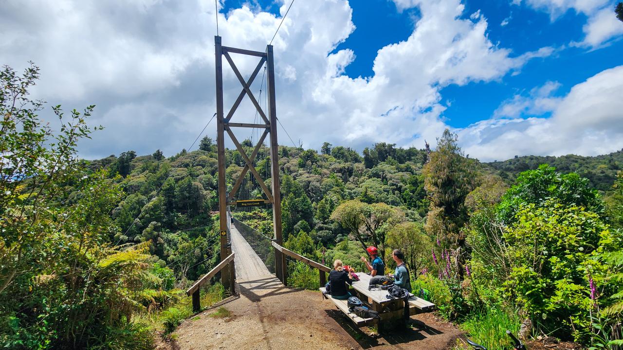Lunch stop on the Timber Trail overlooking a suspension bridge
