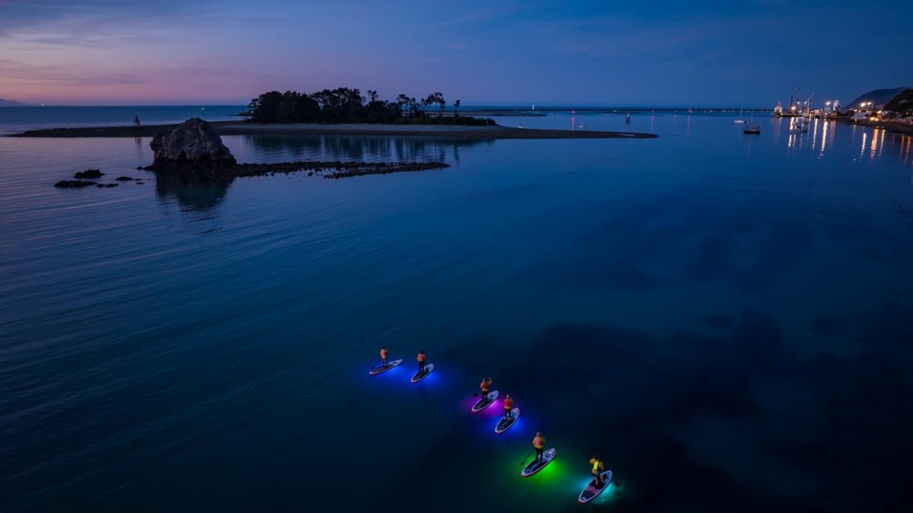 Experience the Nelson Haven by night, a spectacular sight.