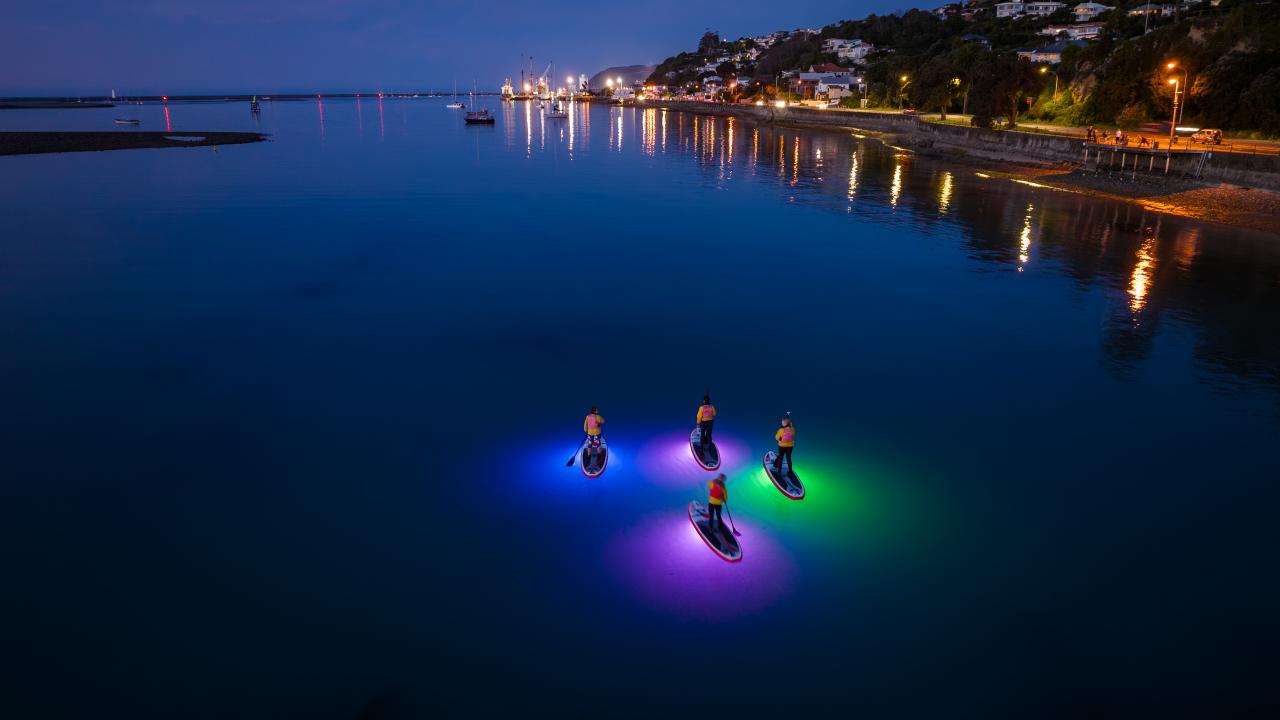 Explore the Nelson Haven by night on a standup paddleboard with our Guided Night Paddle Tour.