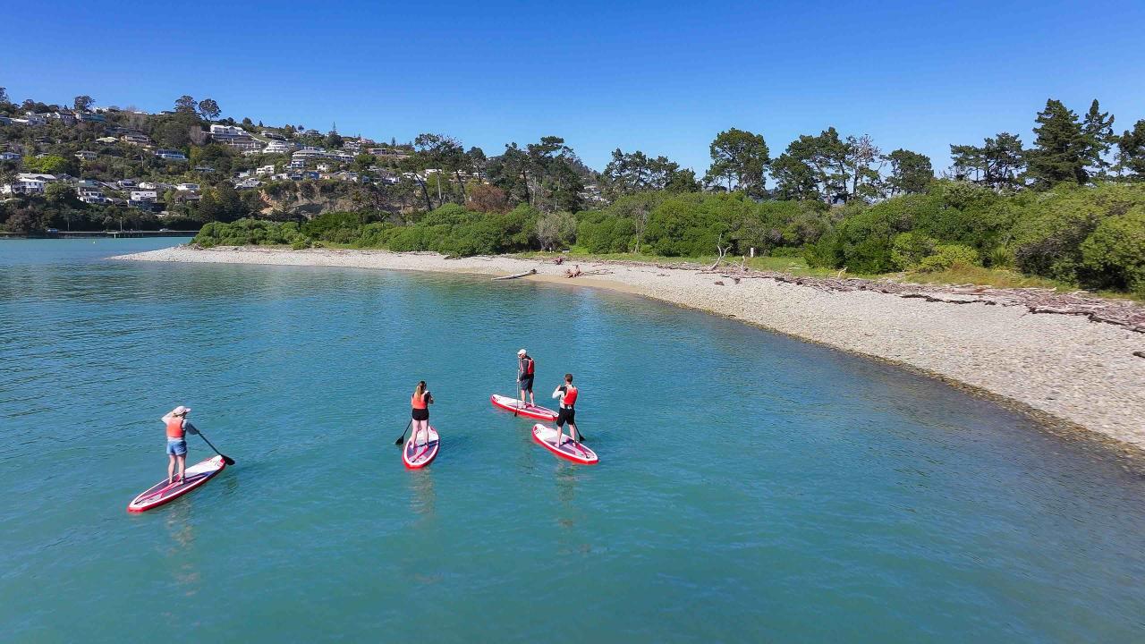 Exploring the rest of Nelson from the ocean