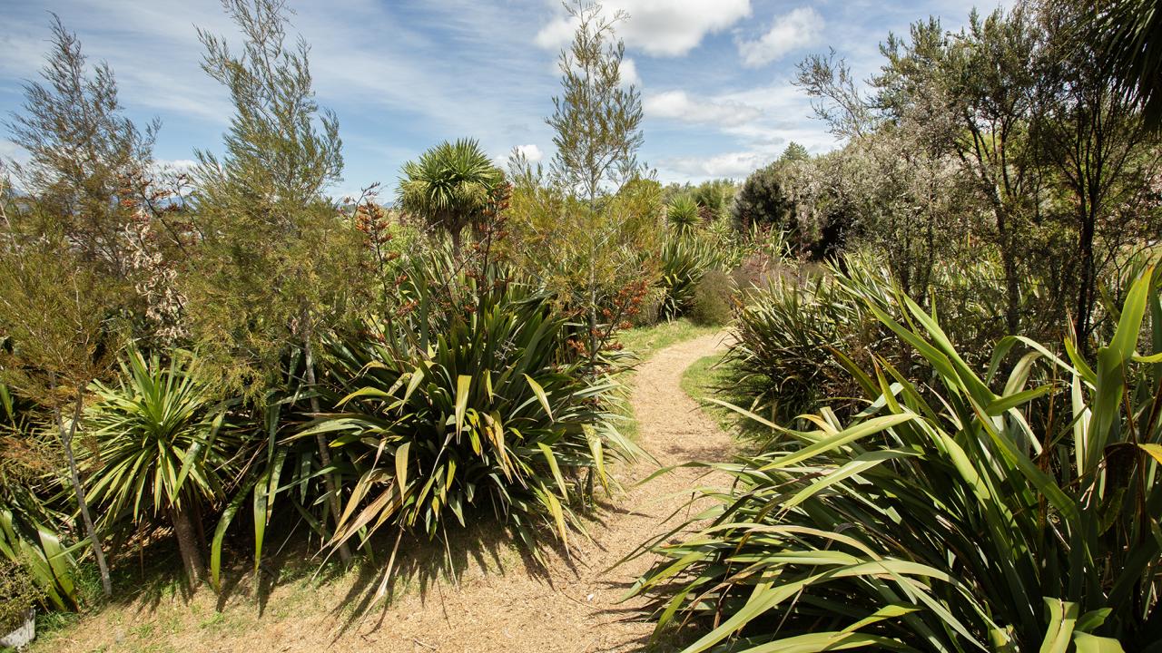 walkway around the property 