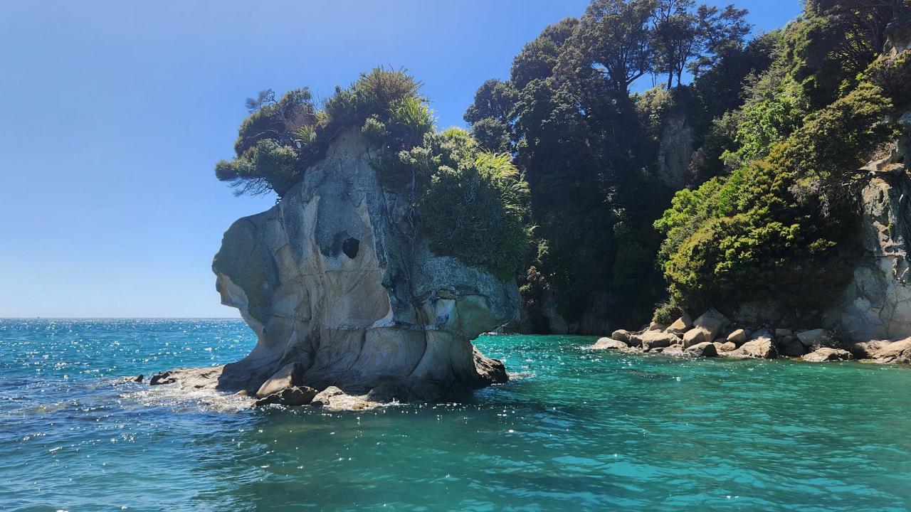 Walk Wainui to Totaranui