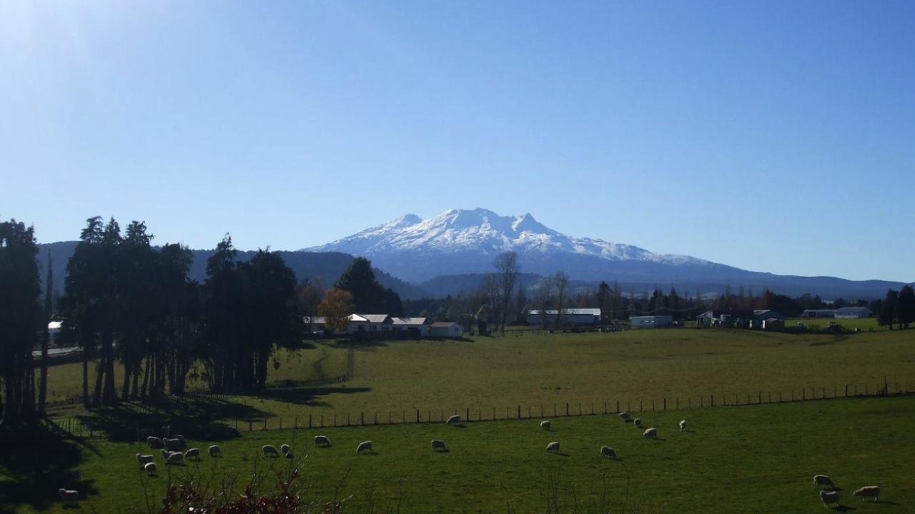 The Field House - Ohakune Holiday Home
