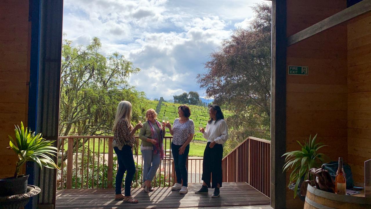 Wine tasting overlooking the vineyard