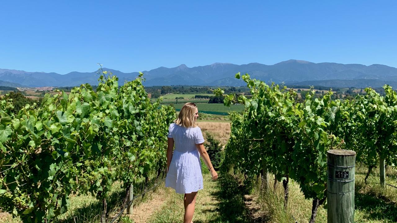 Flaxmore's Vineyard Walk