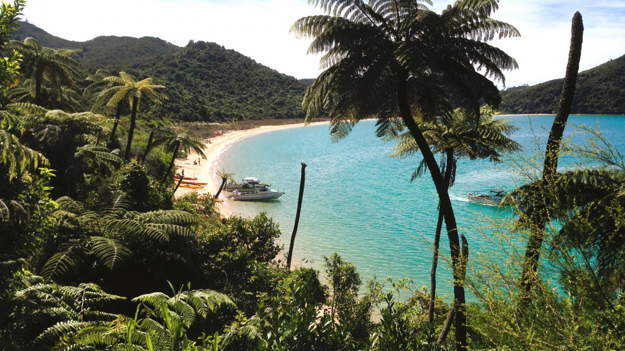 Gorgeous Abel Tasman Beach on the Abel Tasman Coastal Track