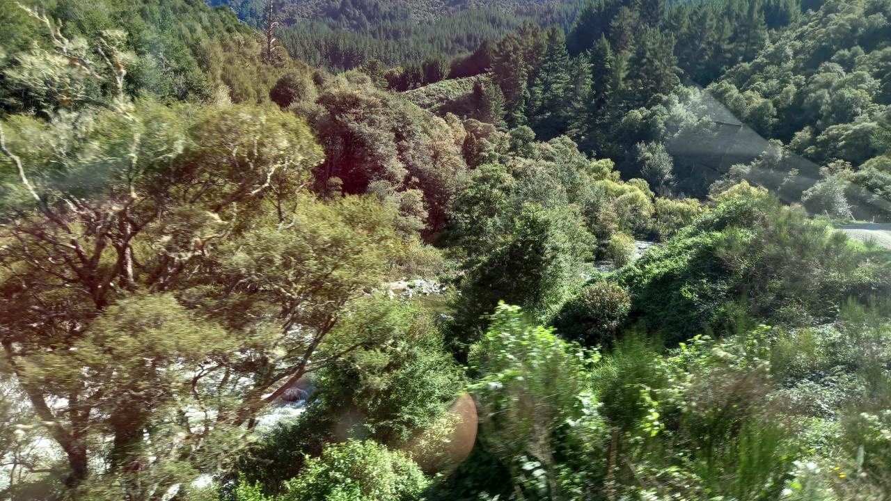 Baton Valley landscape