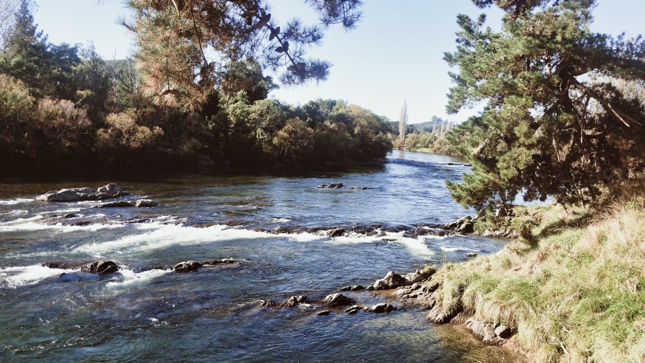 Motueka River - trout fisherman's paradise