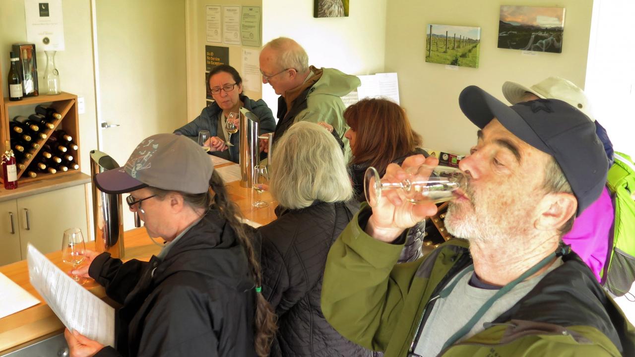 Wine Tasting Te Mania