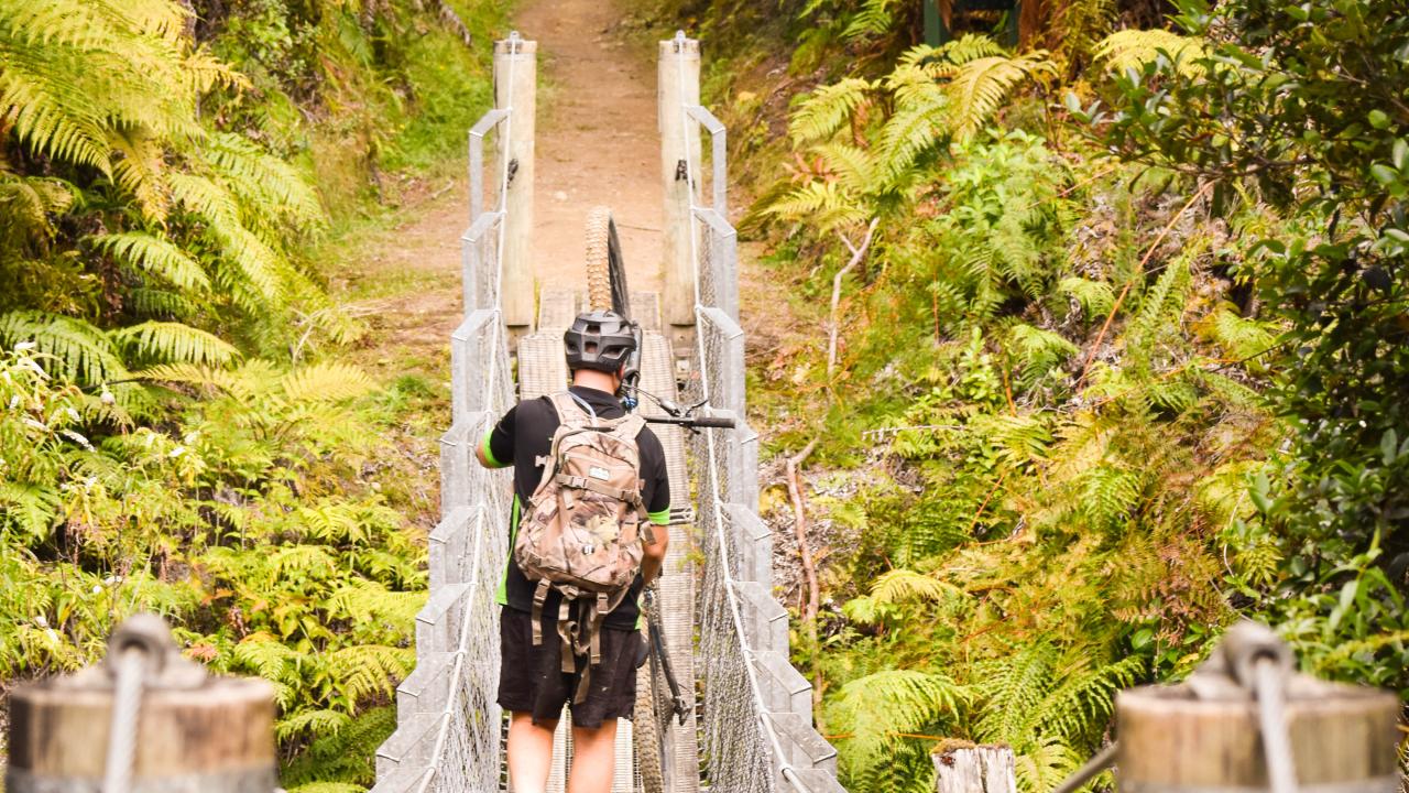 Swing Bridge in Mangapurua 