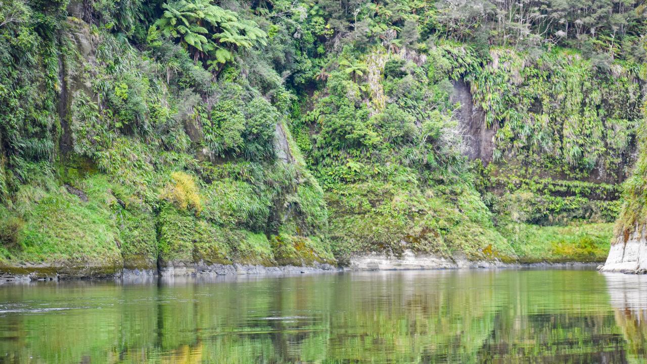 Whanganui National Park