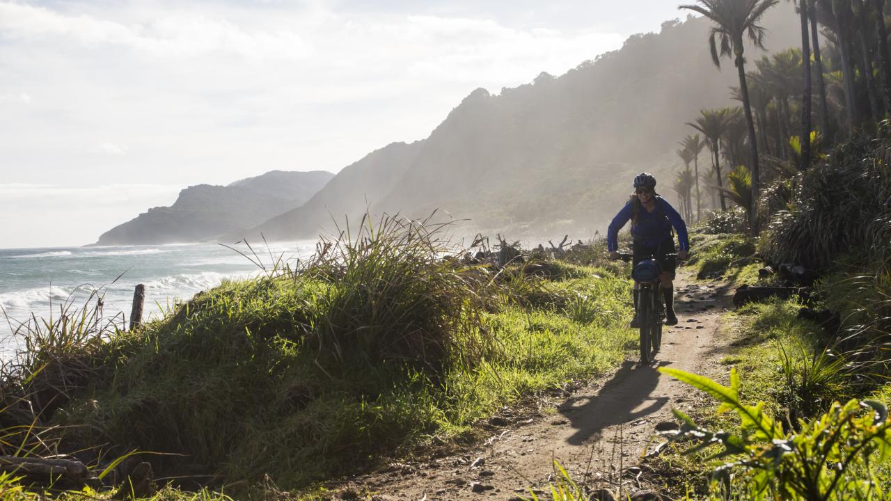 Heaphy Track coast
