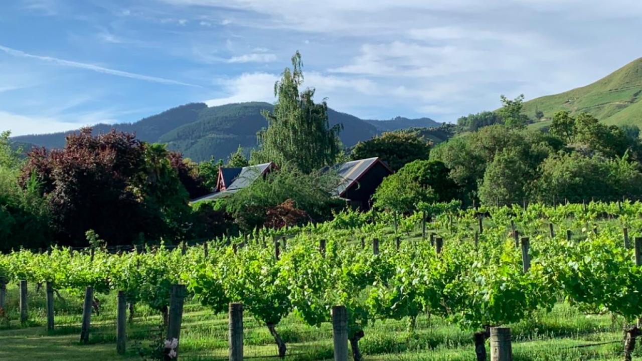 Quail Farm - Mountain views