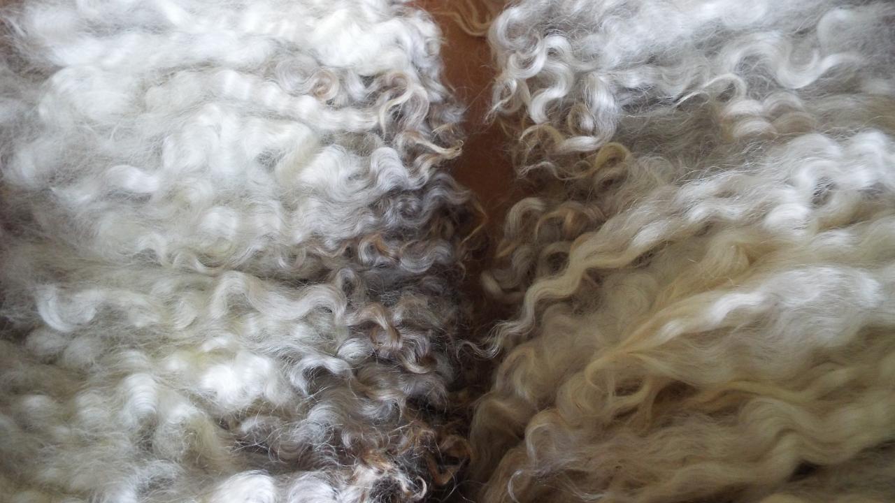 Beautiful sheep fleece locks from our tutor's farm, used in our Rug Making Workshops.